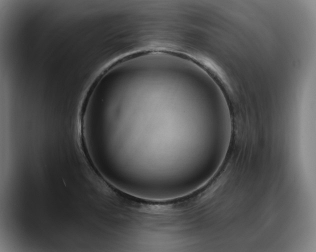 X0000090611280200707171410
