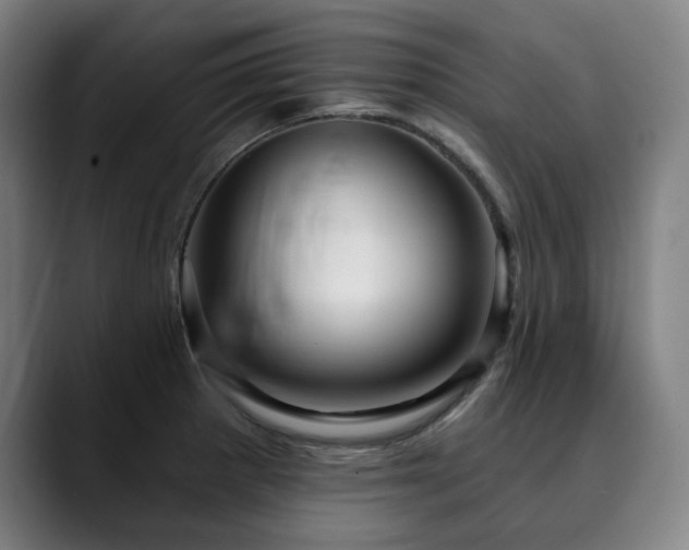 X0000090611281200707171410