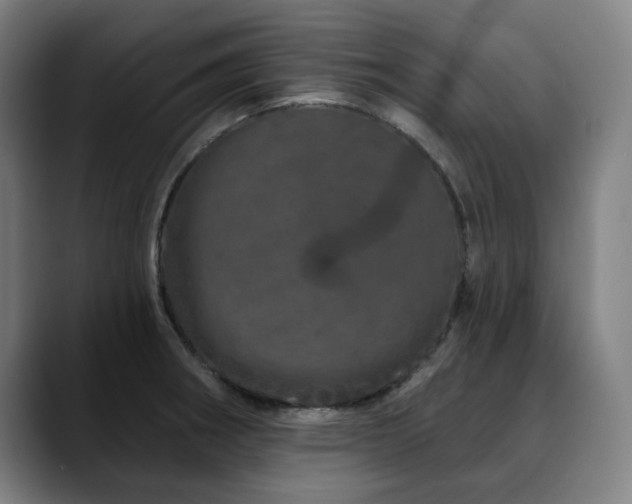 X0000090611282200707171410
