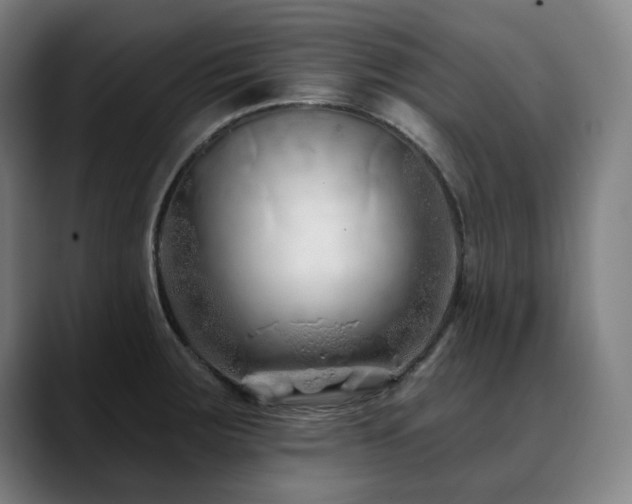 X0000090611283200707171410