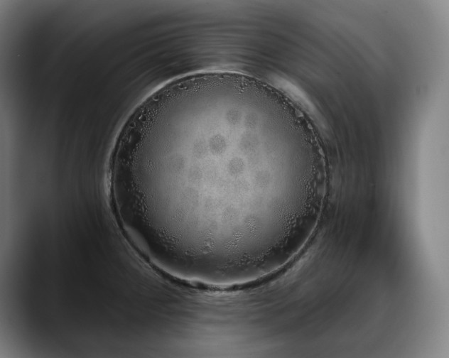 X0000090611284200707171410