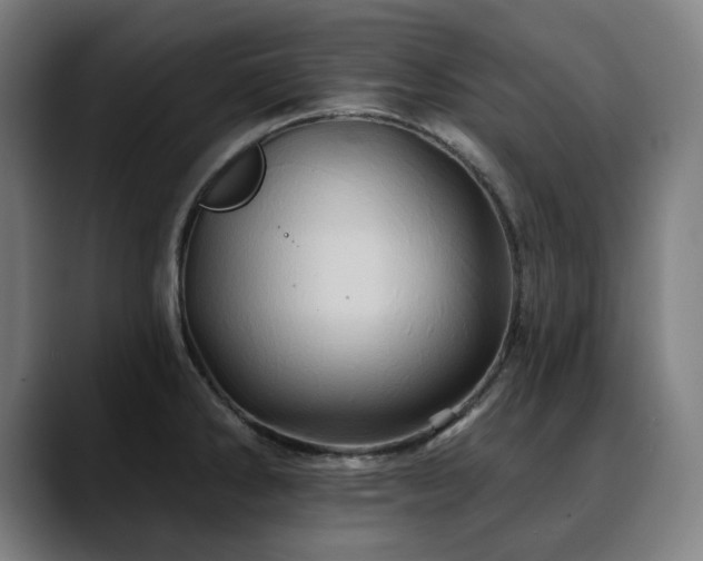 X0000090611286200707171410