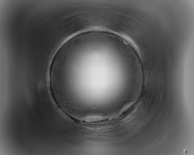 X0000090611287200707171410