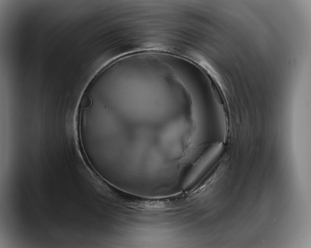 X0000090611291200707171410