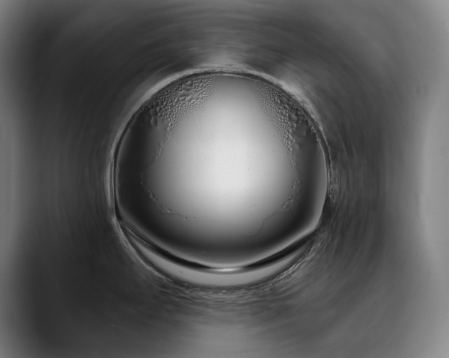 X0000090611295200707171410