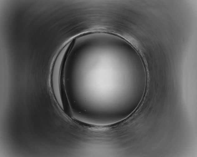 X0000090611296200707171410