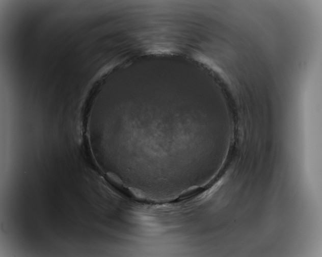 X0000090611306200707171409