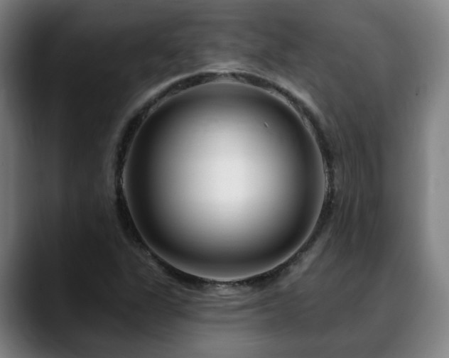 X0000090611311200707171409