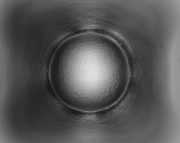 X0000090611313200707171409