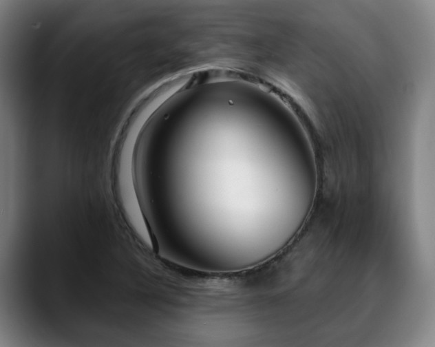 X0000090611316200707171409