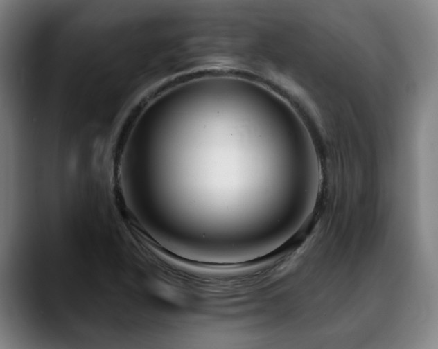 X0000090611318200707171409