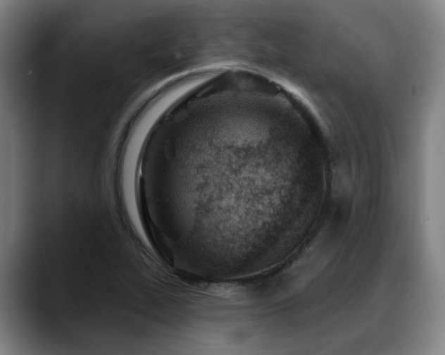 X0000090611319200707171409