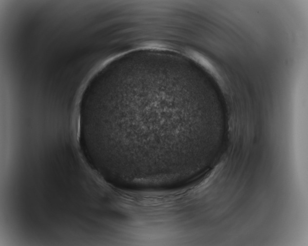 X0000090611323200707171409