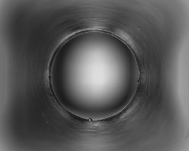 X0000090611332200707171410