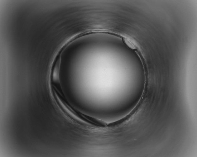 X0000090611333200707171410