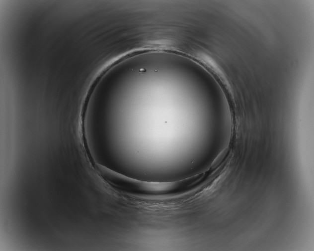 X0000090611336200707171410