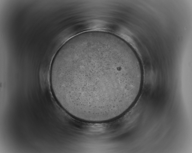 X0000090611338200707171410