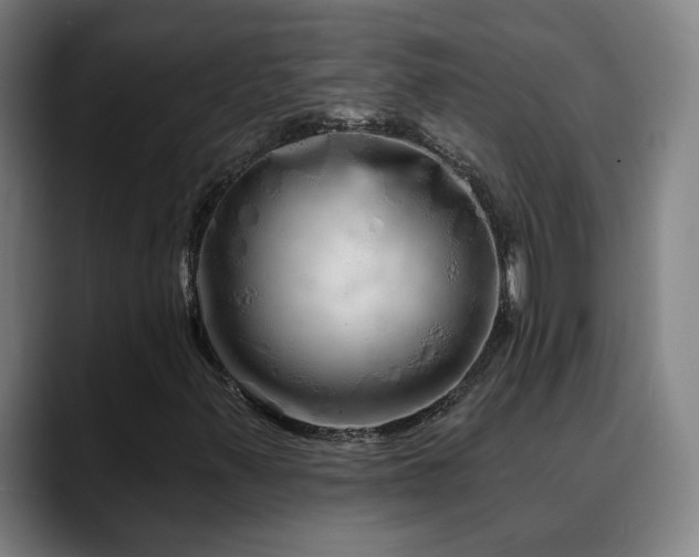 X0000090611347200707171409