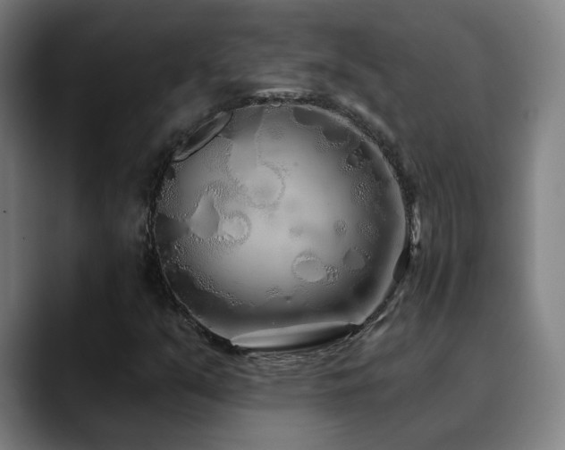 X0000090611351200707171409