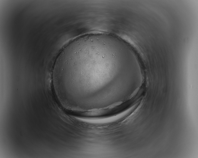 X0000090611355200707171409