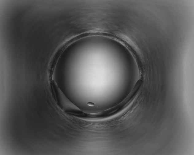 X0000090611356200707171409