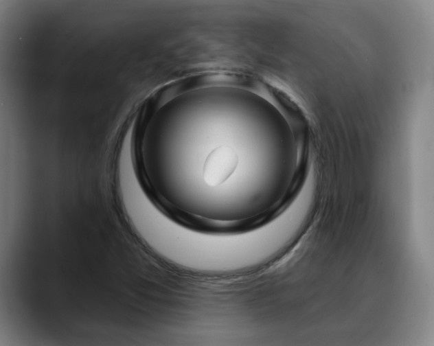X0000090611357200707171409