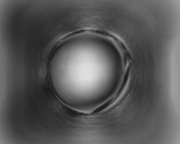 X0000090611359200707171409