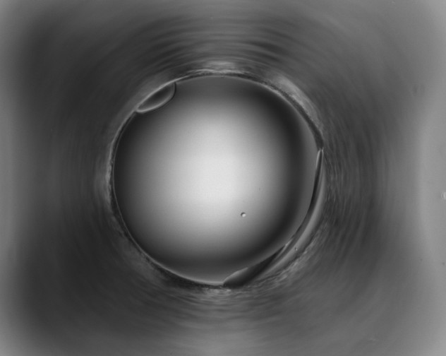 X0000090611378200707171409