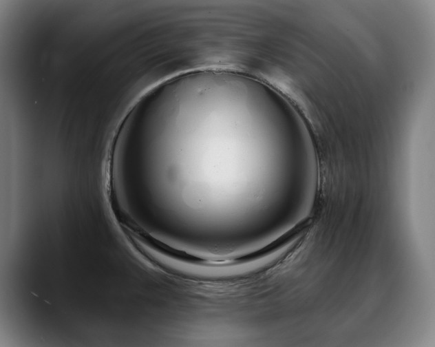 X0000090611383200707171409