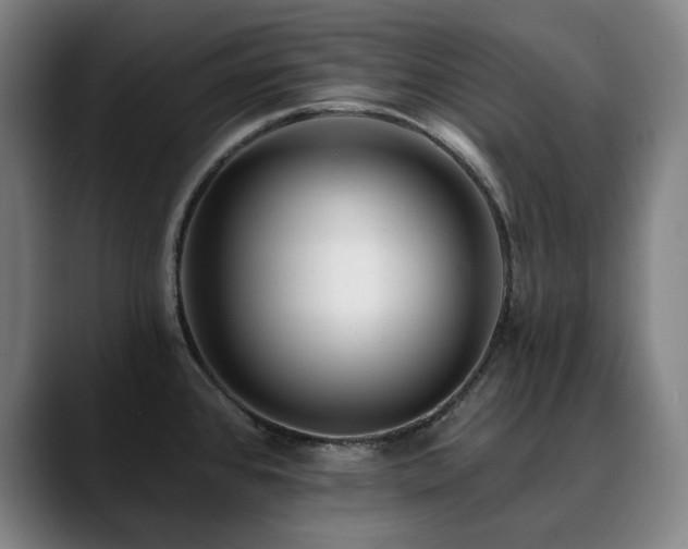 X0000090611384200707171409