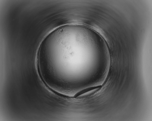 X0000090611387200707171409