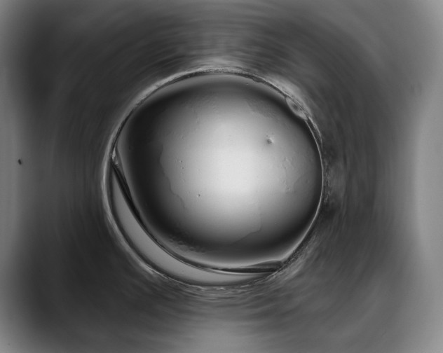 X0000090611391200707171409