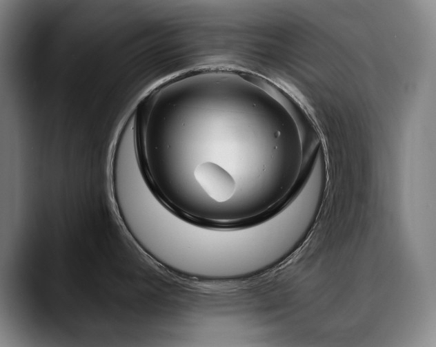 X0000090611392200707171409