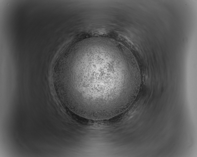 X0000090611393200707171408
