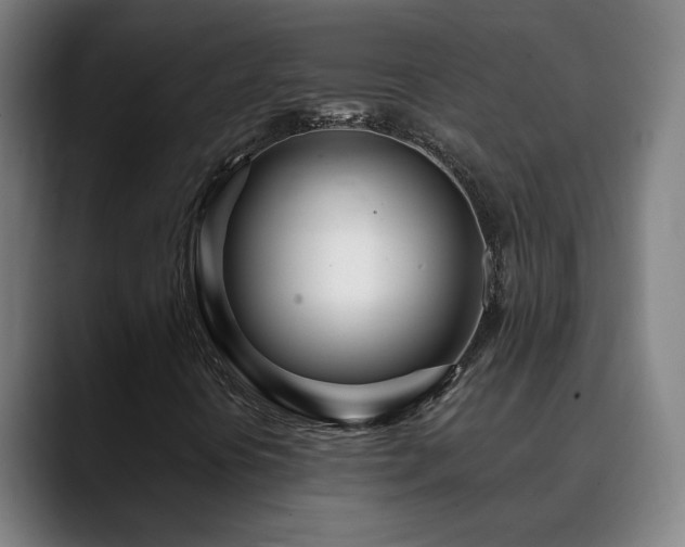 X0000090611394200707171408