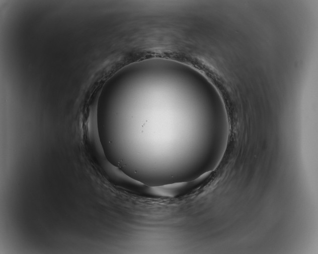 X0000090611398200707171408