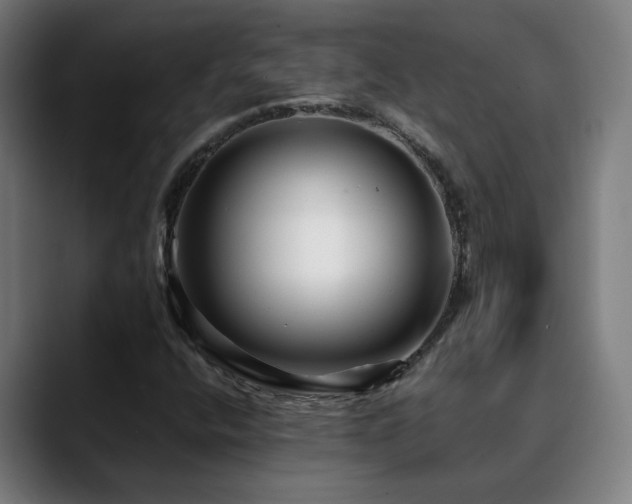 X0000090611400200707171408