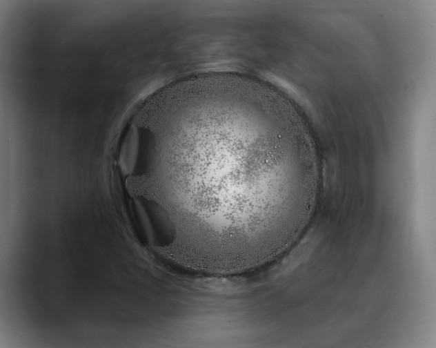 X0000090611405200707171408