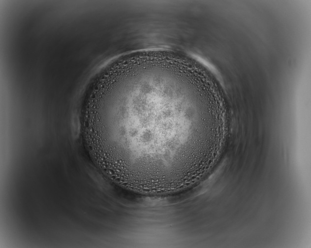 X0000090611407200707171408