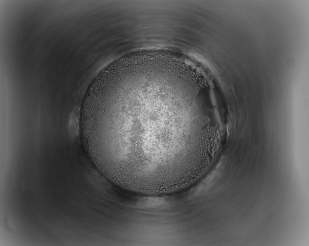 X0000090611409200707171408