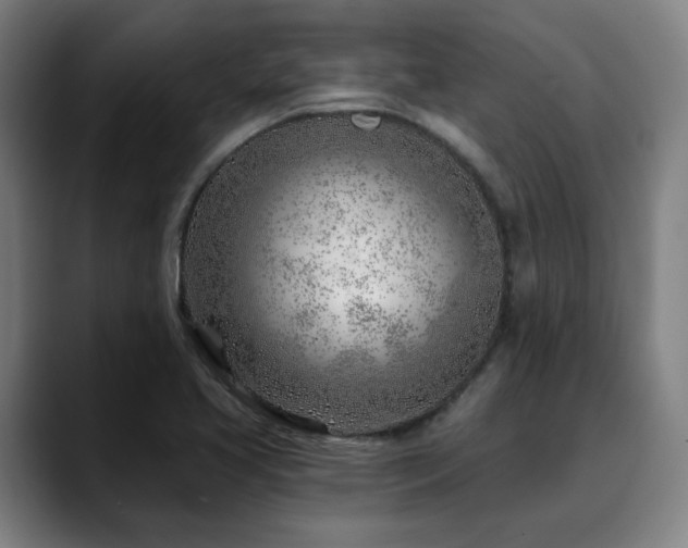 X0000090611413200707171408