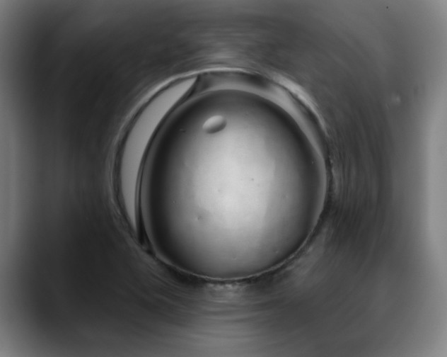 X0000090611415200707171408