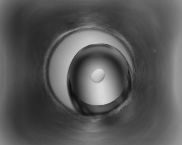 X0000090611416200707171408