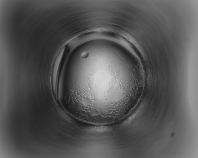 X0000090611417200707171408
