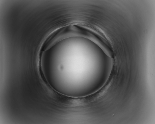 X0000090611418200707171408