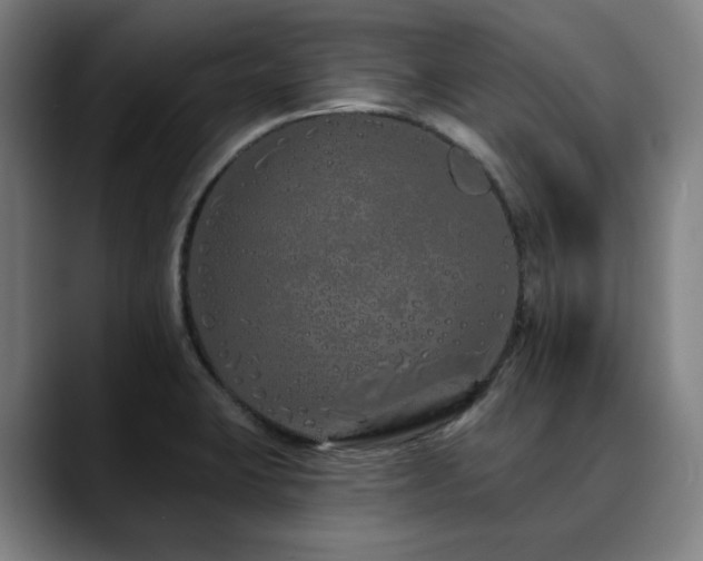 X0000090611423200707171408