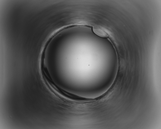 X0000090611424200707171408