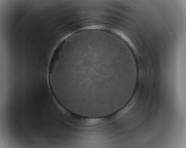 X0000090611425200707171408