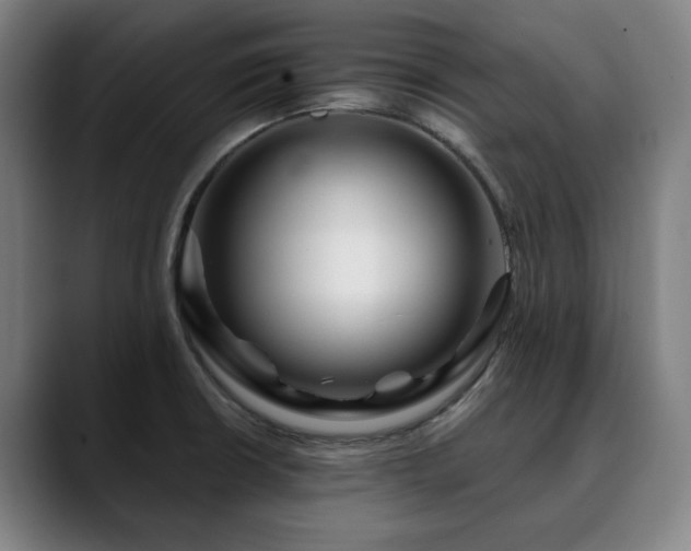 X0000090611426200707171408