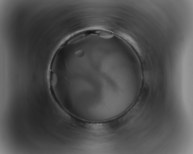 X0000090611428200707171408